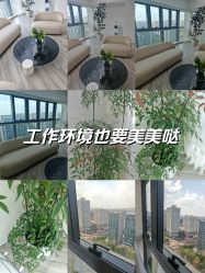 -HEYAN荷妍专业脱毛连锁机构