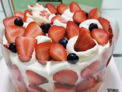 -维尔纳斯·生日蛋糕·动物奶油冰淇淋蛋糕(六里桥店)
