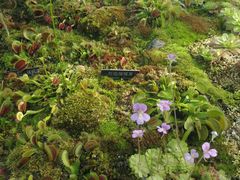 -国家植物园南园