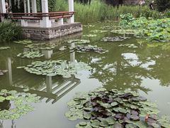 -国家植物园南园