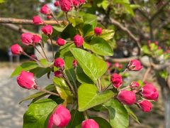 -元大都城垣遗址公园