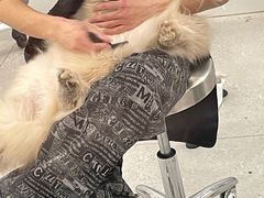 -comecome来吧宠物(奥克斯中心店)