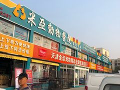 -中环花鸟鱼虫市场