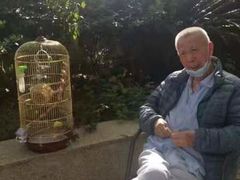 -锦欣康养上海泽顾护理院