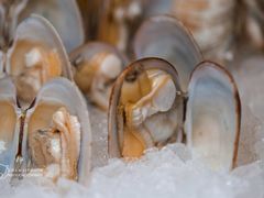 -格力东澳大酒店-蓝色海岸餐厅