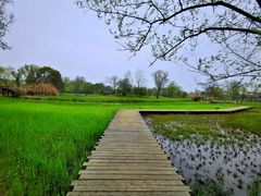 -西溪国家湿地公园