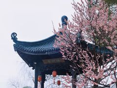 -无锡梅园公园