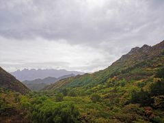 -云岫谷游猎自然风景区
