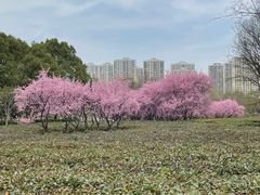 -白塘生态植物园