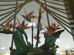 -云海肴云南菜·蒸汽石锅鱼(北京良乡华冠店)