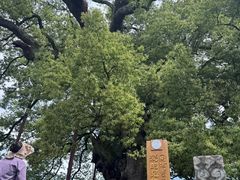 -新安江山水画廊风景区