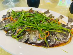 -龙溪海鲜酒家(溪涌店)