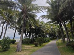 -深圳湾公园(南山区)