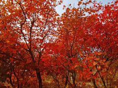 -北京金海湖景区