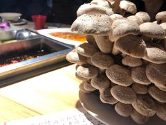 -五厨火锅(长城西一路店)