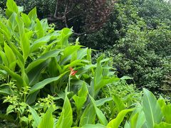 -幕燕滨江·燕子矶公园