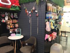 -十年猫舍·猫咪专门店(普陀店)