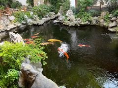 -鲤院·新中式美学·庭院餐厅(夫子庙店)