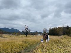 -塔川景区