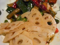 -挂雪铁锅炖大鹅