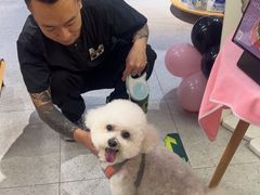 -FAELING PETS美天灵宠物(富力广场店)