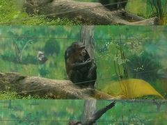 -成都动物园