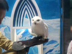 -成都浩海立方海洋公园