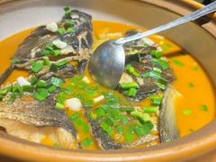 -千岛湖小鱼儿·淳安匠心农家菜