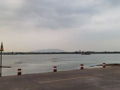 -八仔大富楼·河鲜(西江店)