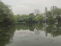 -西湖外事游船(湖滨二公园外事游船码头)