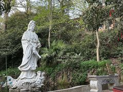 -紫金山山顶公园