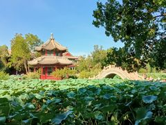 -莲池书院博物馆