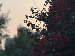 -四川大学(华西校区)