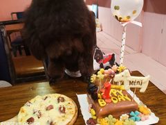 -百好乐宠物友好餐厅(朝外大街店)