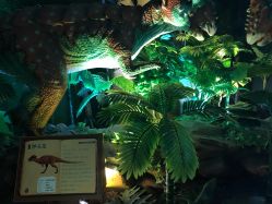 -恐龙探索乐园(磁器口店)