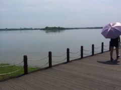 -武清南湖绿博园