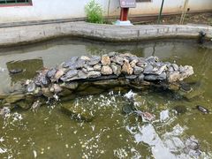 -红螺寺