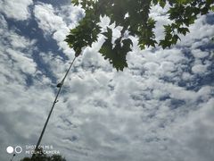 -鸡遇虾煲干锅火锅(小寨金莎店)