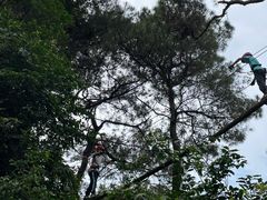 -芦仙山景区-飞越丛林探险乐园