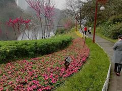 -重庆彩云湖湿地公园