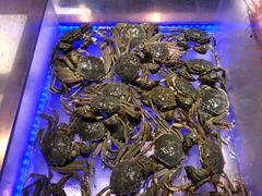 -诱货海鲜自助火锅(爱琴海购物公园东百店)