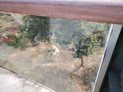 -泉州海丝野生动物世界