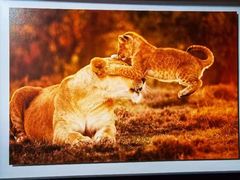 -罗红摄影艺术馆