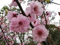 -旺山·浪头人家