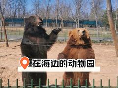 -秦皇岛野生动物园