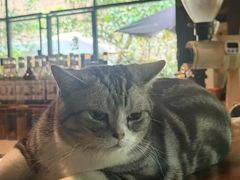 -咖法森林·咖啡  酒吧(天河店)