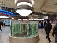 -海底捞大排档火锅(打浦路店)