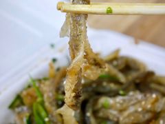 -陈添記·祖傳爽鱼皮·西关老字号(广州首店)