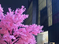 -金茂览秀城