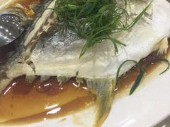 清蒸金仓鱼-双月饭店·20年老字号(新村店)